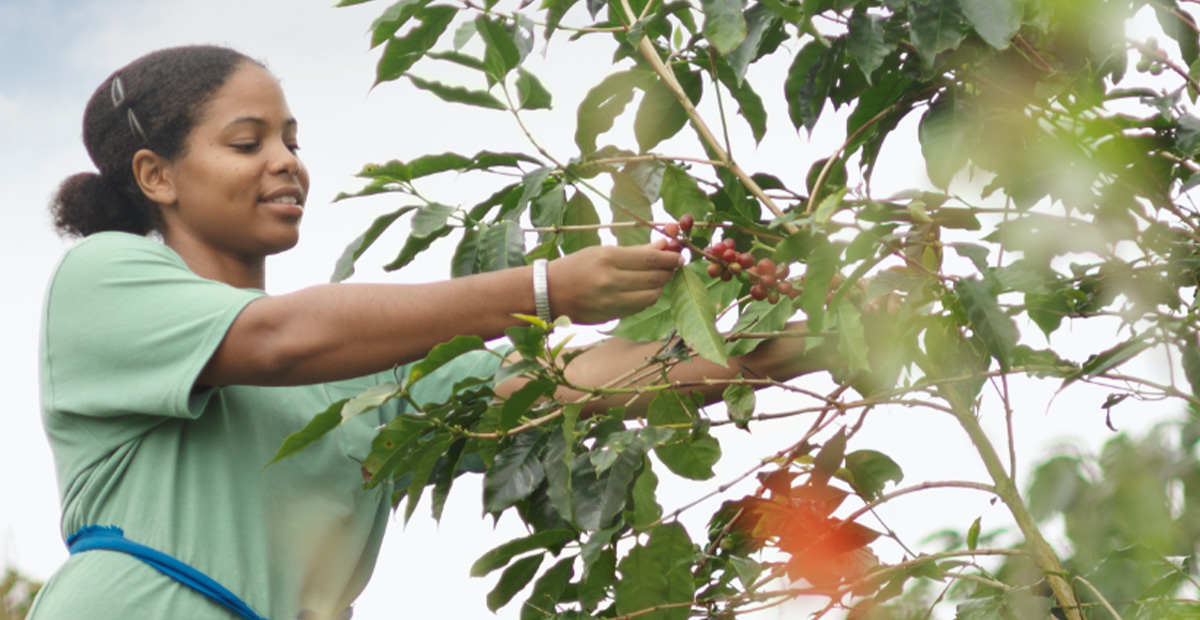 Flip Lab e Agro Bayer